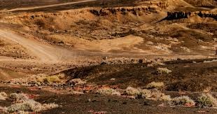 巴萨躲过一劫？尼科19场3球，年薪比肩亚马尔，毕巴给10年长约